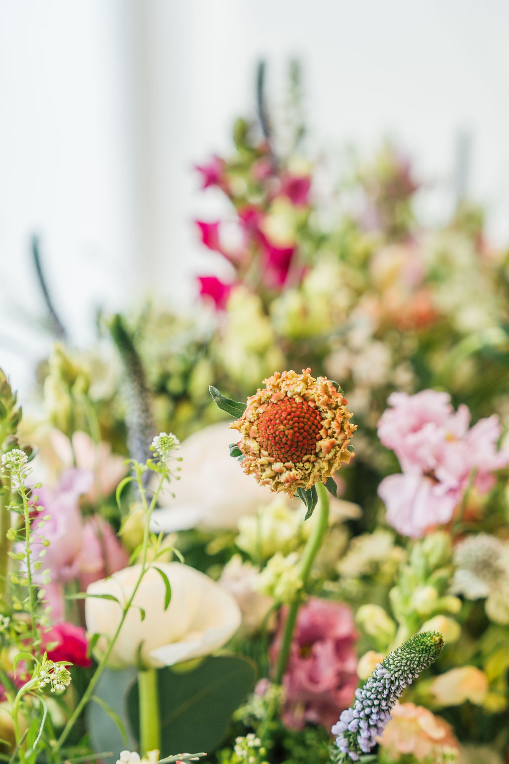 Fl-fraiches-2025-02-28PompesFunèbresGoodbye-37